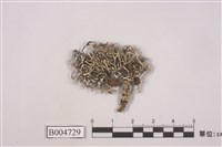 藏品(雪花衣屬)的圖片